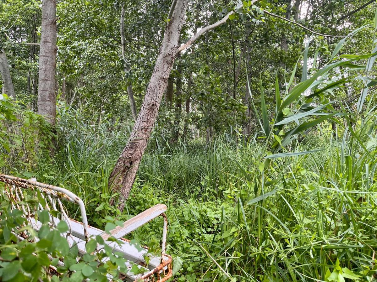 Haeuschen In Den Erlen Eberswalde